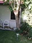DSCF0834.JPG