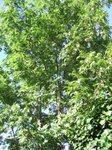 DSCF0835.JPG