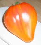 P8110017.gif
