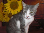 tequila 057.JPG