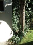 DSCF0838.JPG