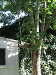 DSCF0839.JPG
