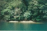 rivière-jungle-2web-.jpg
