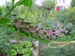 IMG_0014.jpg