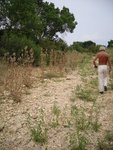 entre vigne & garrigue2.JPG