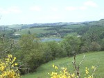 jardin et paysage 024.jpg