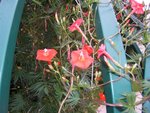 DSCF2319.jpg