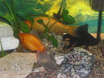 divers2 006.JPG
