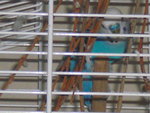 divers2 008.JPG