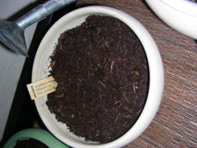 DSCN7709.JPG