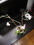 dsc01079.jpg