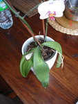 dsc01082.jpg