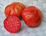 irinas tomaten.de