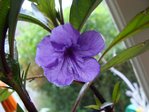 DSC04382.JPG