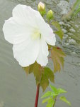 DSC06456.JPG