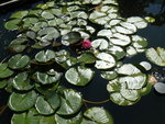 27 07 09 a 005.jpg