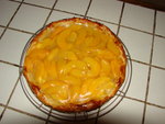DSC01348.JPG