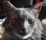 photos 19 08 09 017.jpg