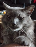 photos 19 08 09 019.jpg