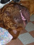 umye-monstro-2-web.jpg