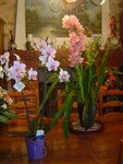 DSC03905.JPG