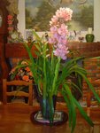 DSC03904.JPG