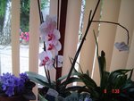DSC04286.JPG