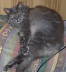 DSCN0112.jpg