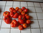 DSC01355.JPG