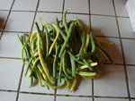 DSC01357.JPG