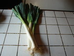 DSC01361.JPG