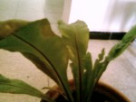 SP_A0368.jpg