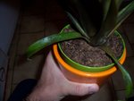 100_1608_2.jpg