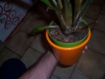 100_1609_2.jpg