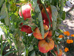 DSCF2566.jpg