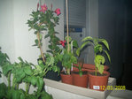 100_0540.JPG