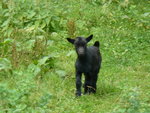 nico 20 07 08 016.jpg