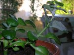 DSCN3127.JPG