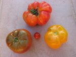 tomate 112.jpg