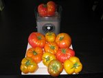 tomate 124.jpg
