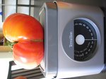 tomate 126.jpg