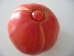 tomate 125.jpg