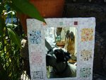 balbo-reflet-web.jpg