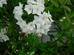 DSCN4548.JPG