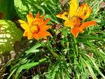 DSCN4574.JPG
