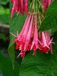 DSCN4694.JPG