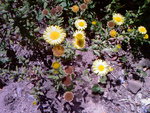 Photos-0002.jpg