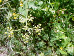 Photos-0003.jpg