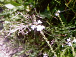 Photos-0005.jpg