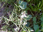 Photos-0006.jpg